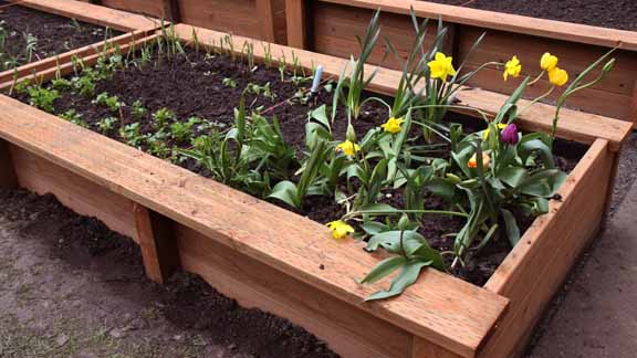 finished grow boxes--already planted